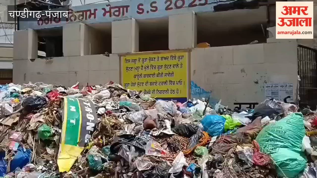 Amidst the sanitation workers' strike in Moga, the Deputy Commissioner has issued strict orders; garbage will be cleared through alternative arrangements