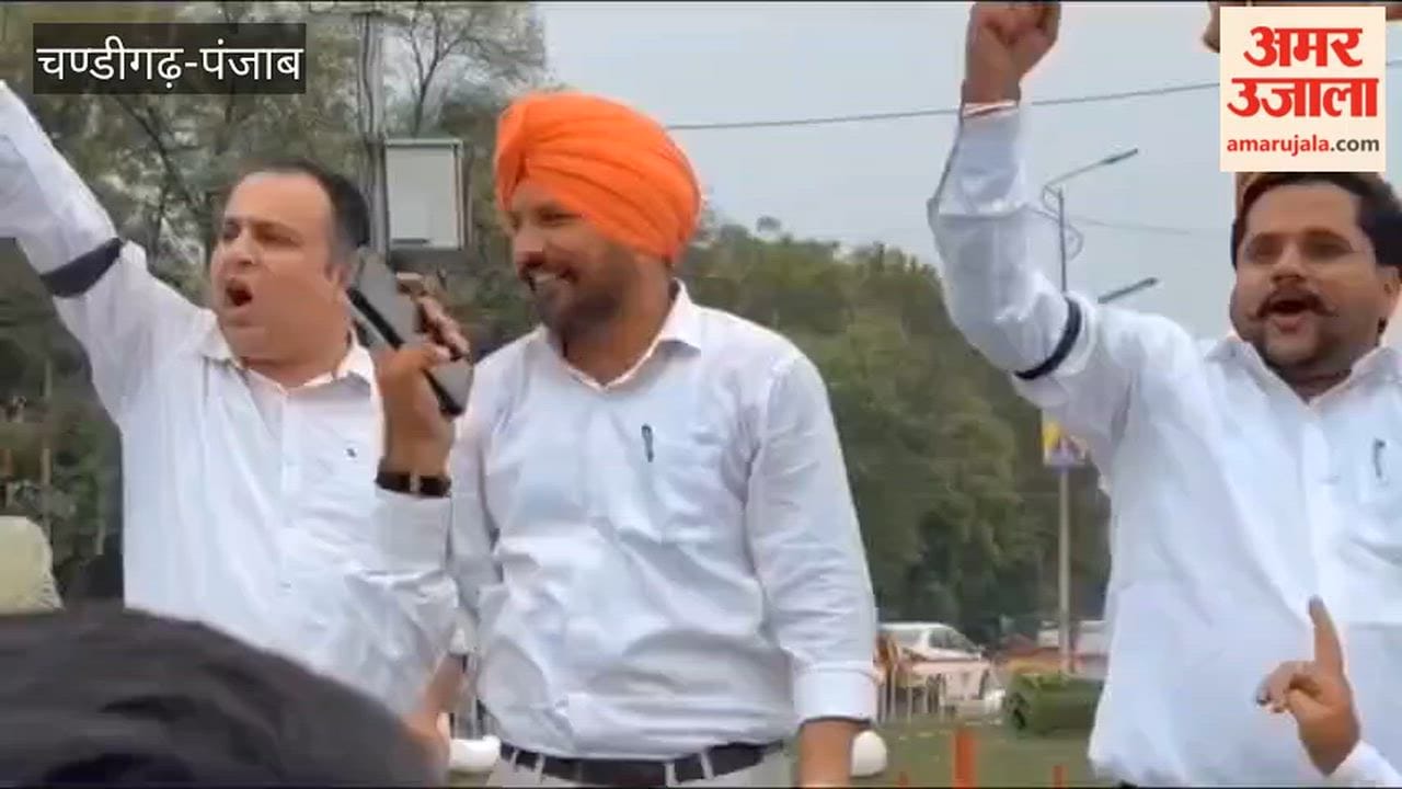 Ferozepur Bar Association and lawyers staged a protest