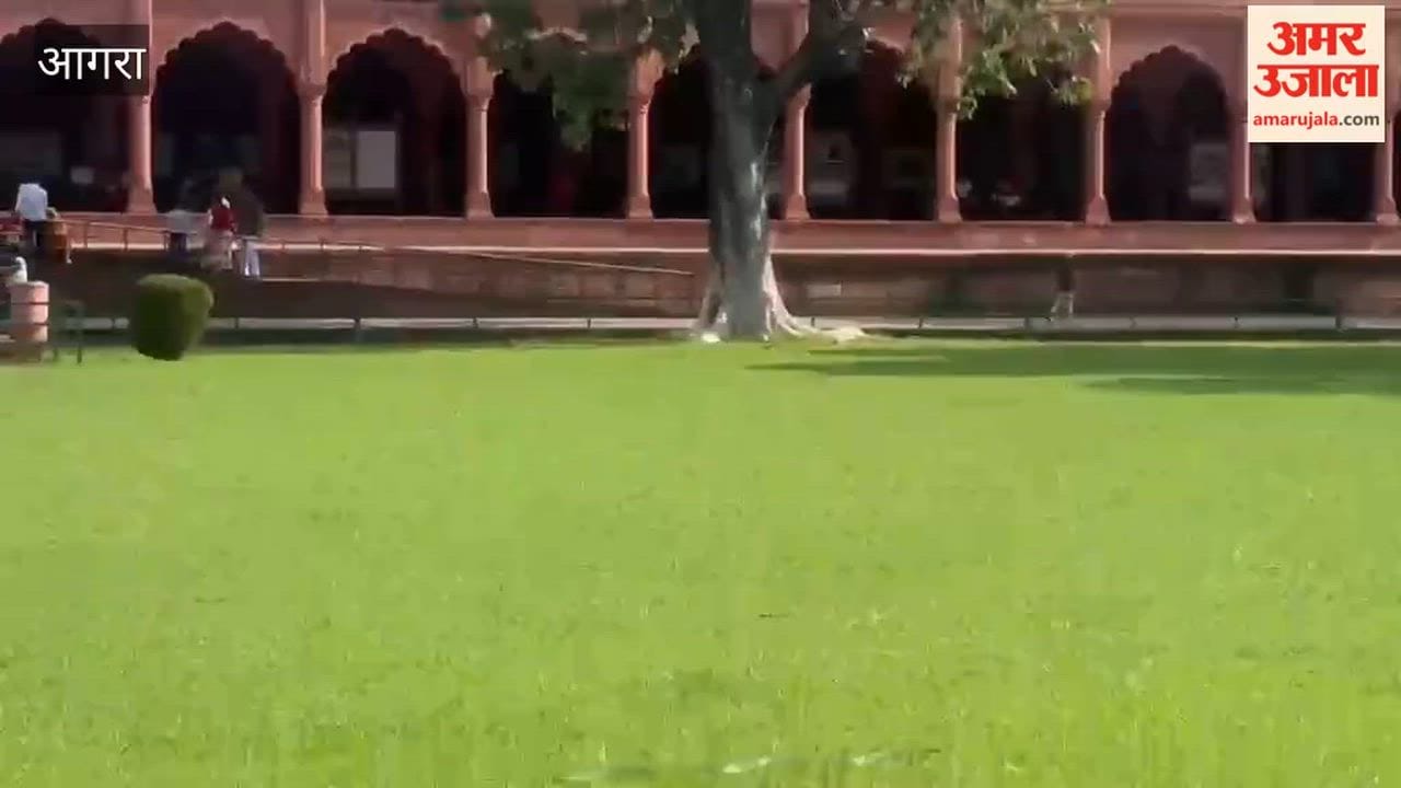 Snake spotted in Taj Mahal garden panic spreads among tourists