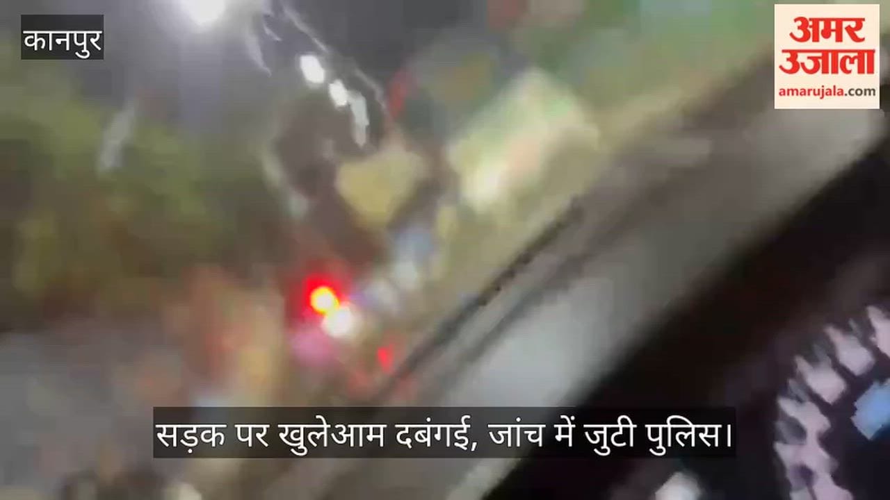 Kanpur Brazen hooliganism near Narendra Mohan Setu heavily intoxicated youths beat up an auto rickshaw driver