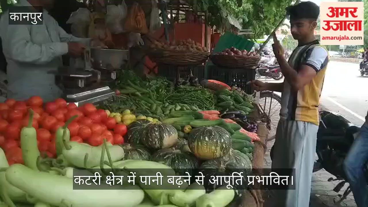 Kitchen costs rise in Kanpur rain sends green vegetable prices soaring