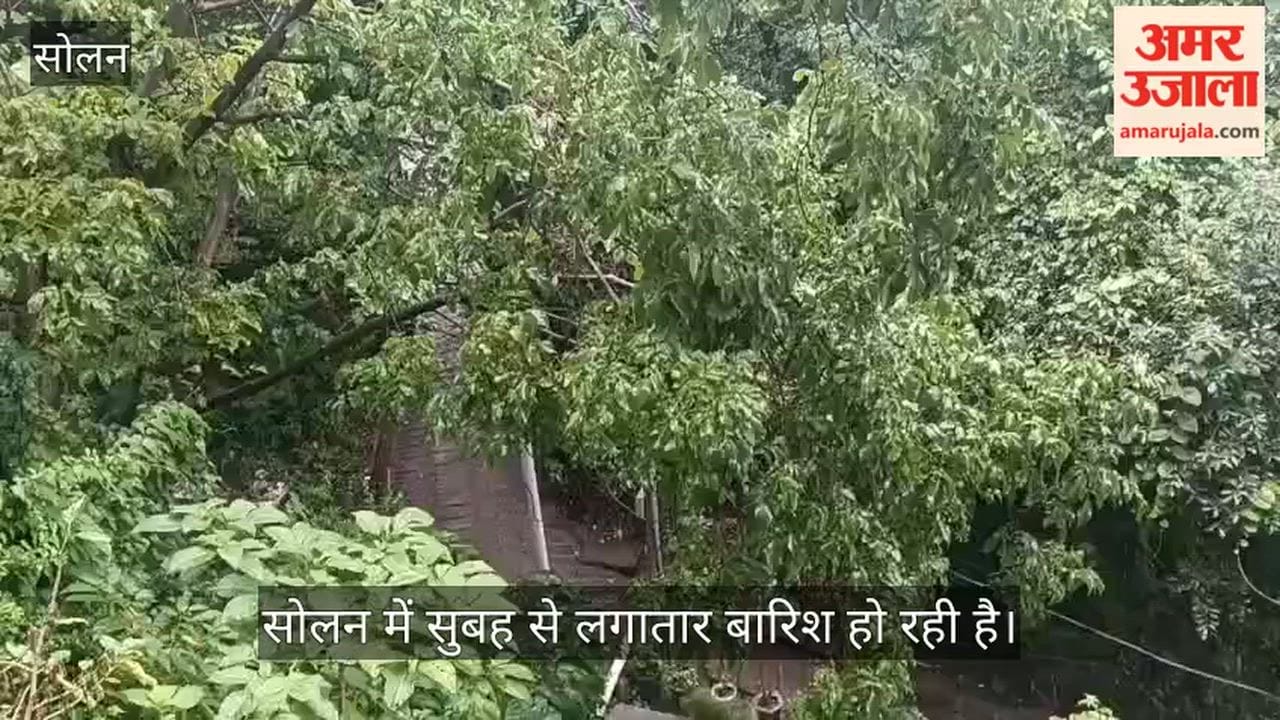 solan rain weather update school children heavy rain today