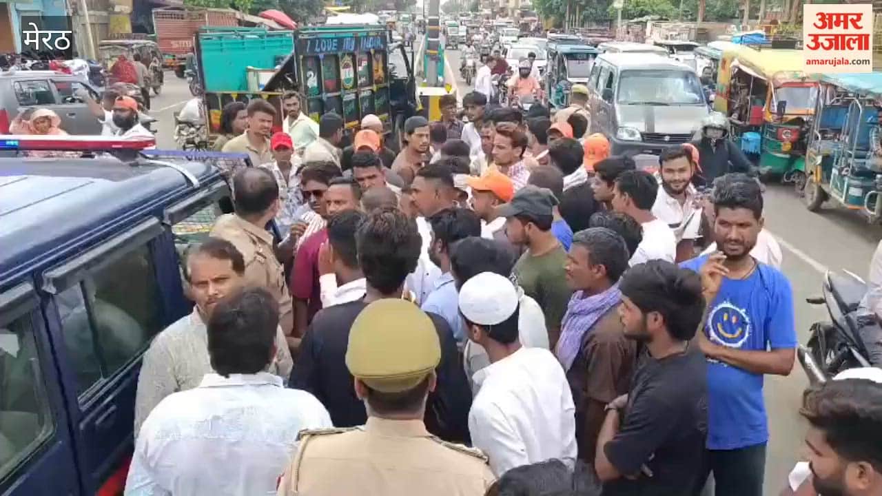 Meerut: Two Sanitation Workers Hit by Vehicle While Cleaning Divider, Colleagues Protest