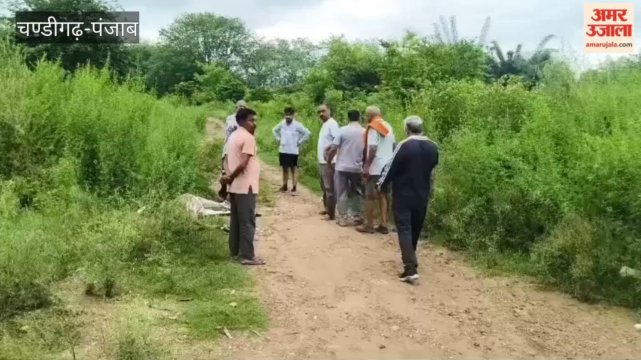 Atmosphere of panic in Nangal's Baas village due to leopard sighting