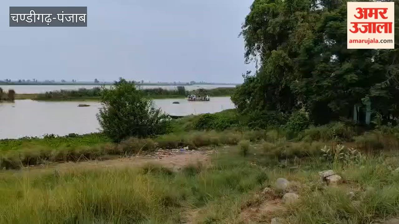 Raft immersed in the Sutlej River in Ferozepur.