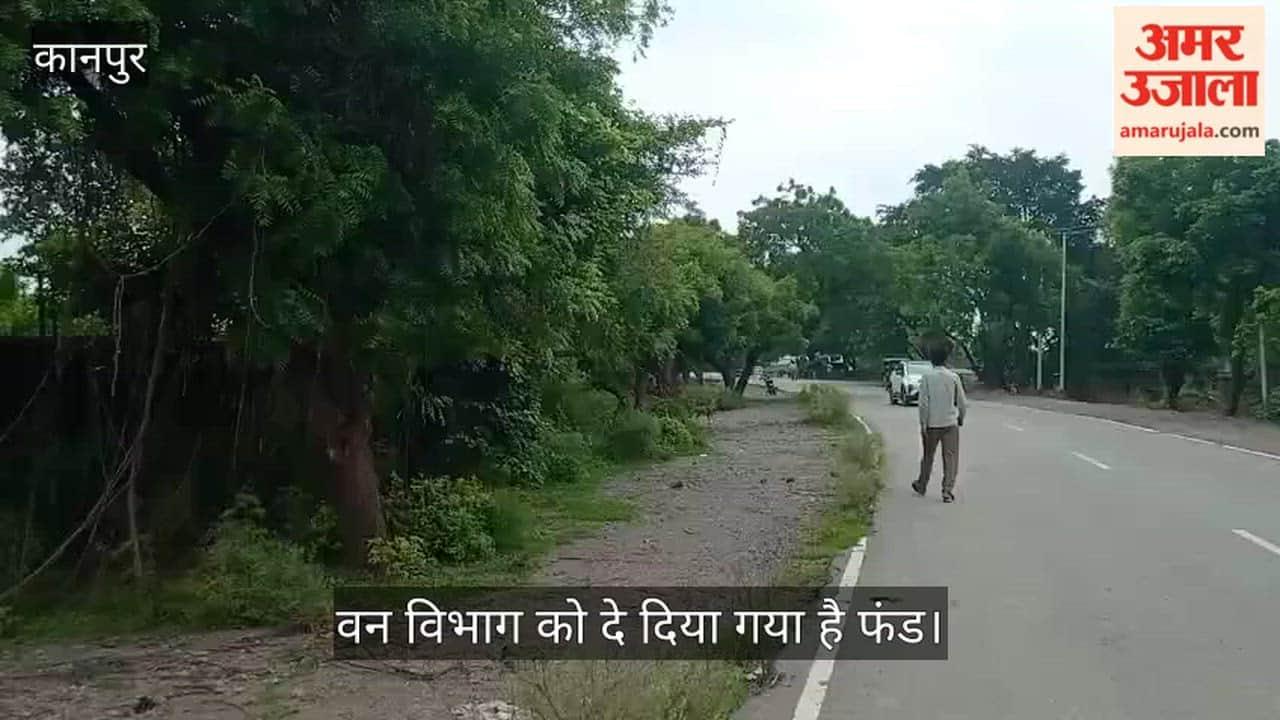 Kanpur Mandhana Bithoor road widening work slows down due to Forest Department's negligence