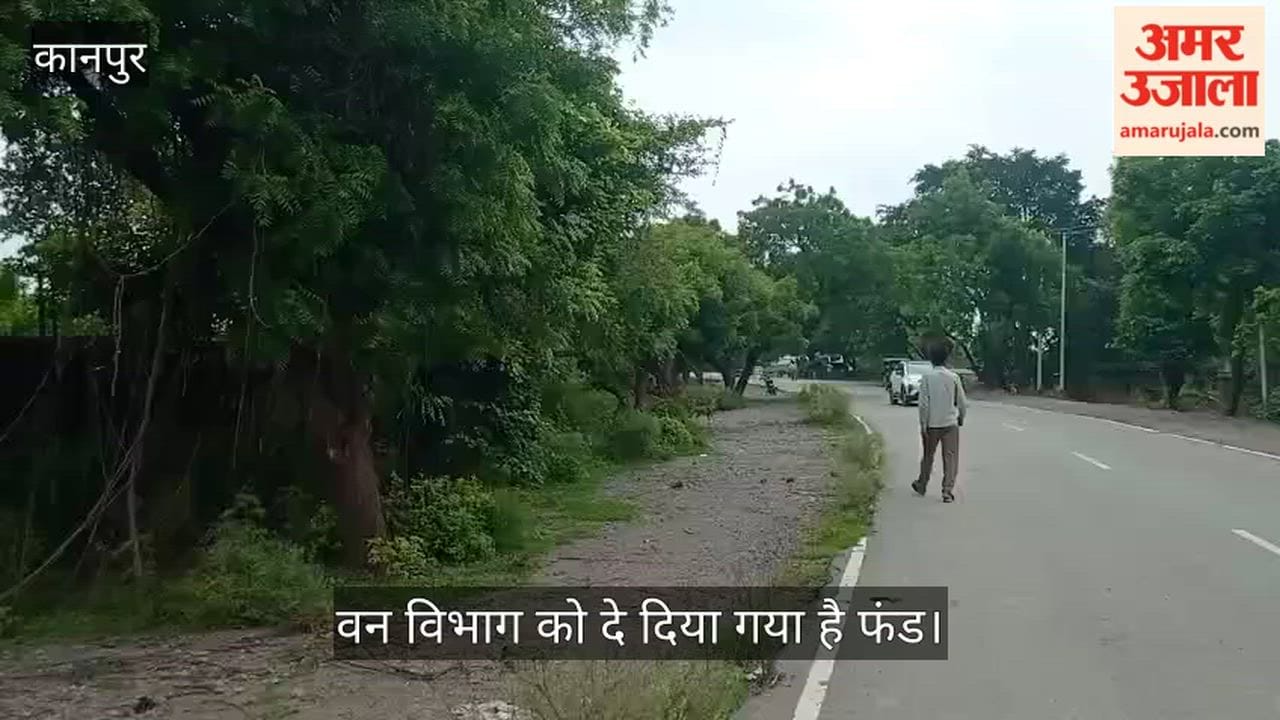Kanpur Mandhana Bithoor road widening work slows down due to Forest Department's negligence