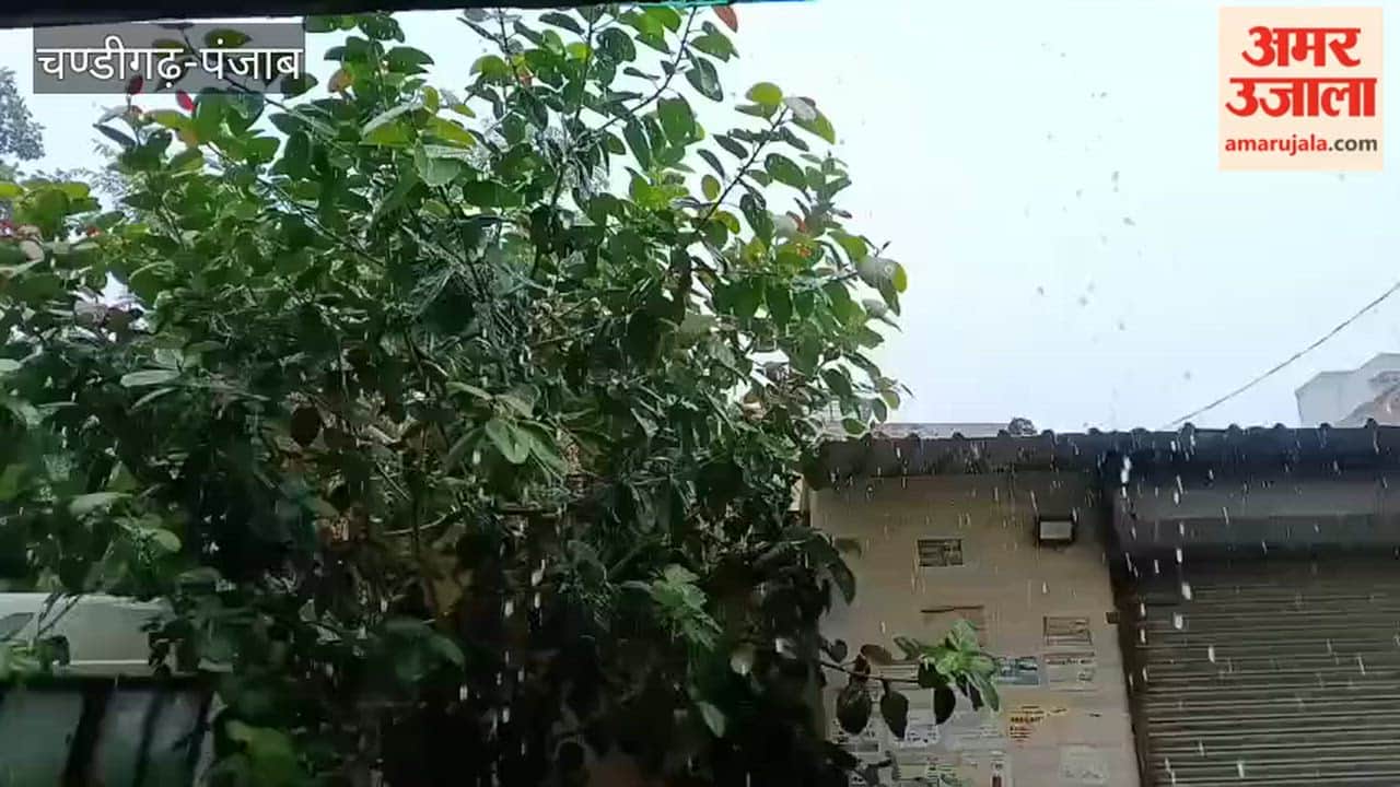 Rain in Moga