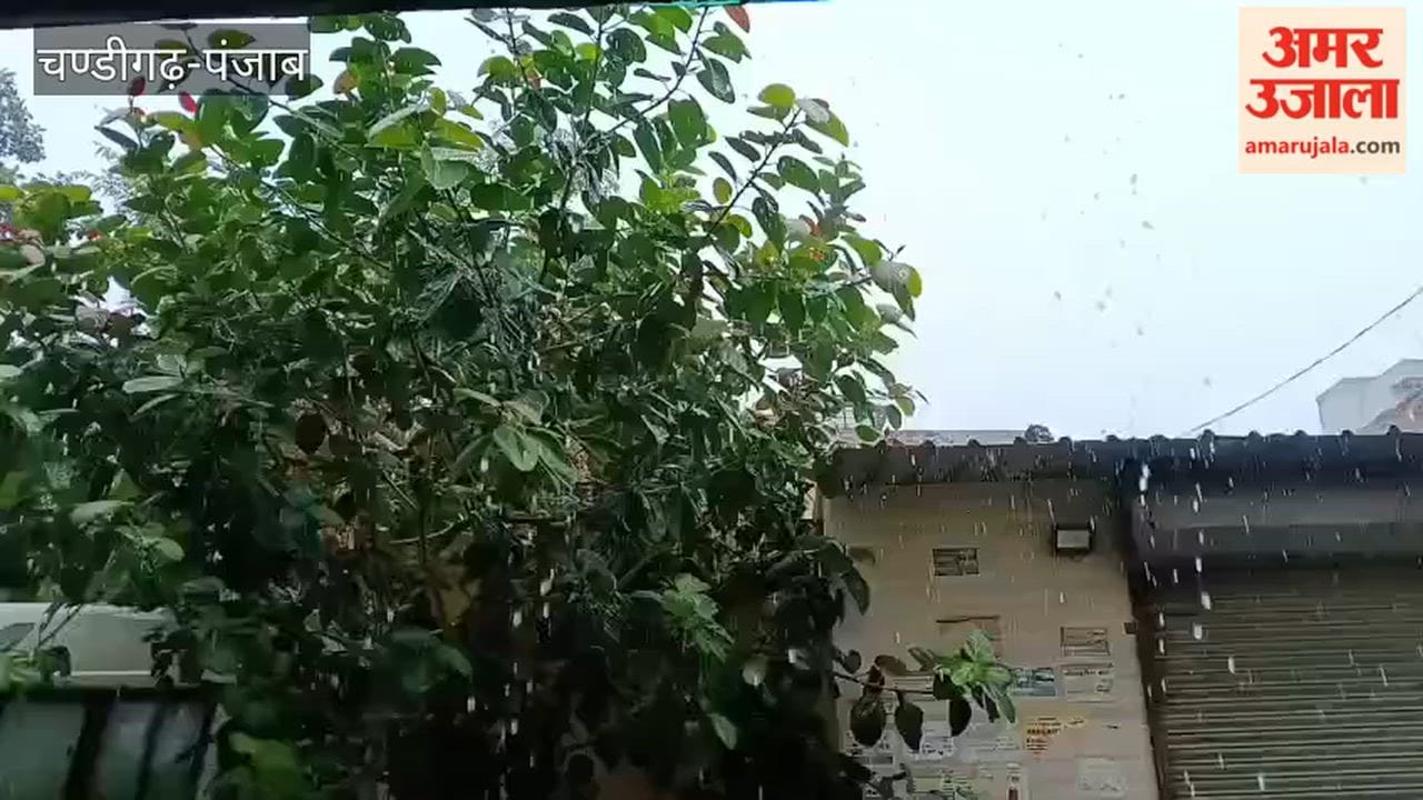 Rain in Moga