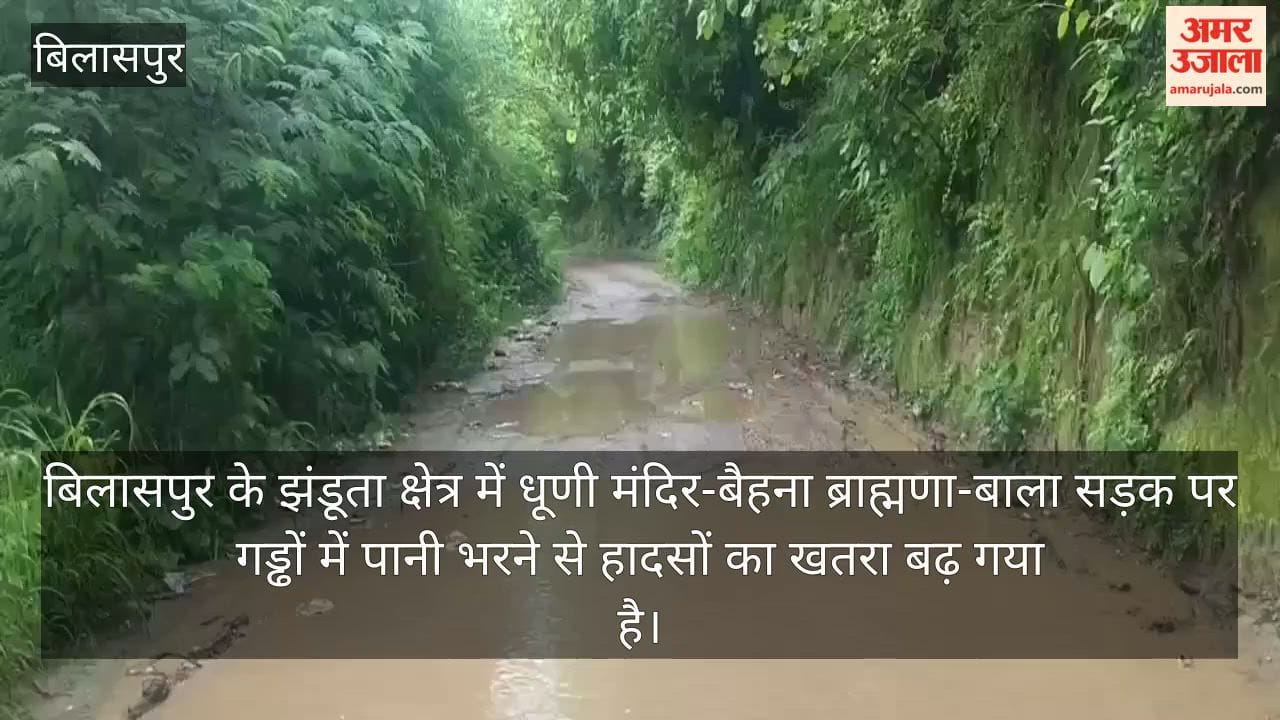 Bilaspur News: Water-Filled Potholes on Dhuni Mandir-Bala Road Raise Accident Risk