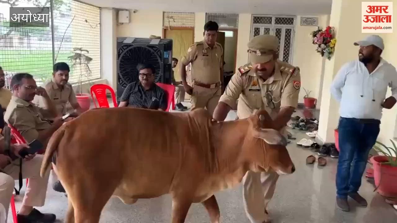 श्रीराम जन्मभूमि मंदिर ट्रस्ट की बैठक में घुसा सांड, पुलिसकर्मियों ने निकाला