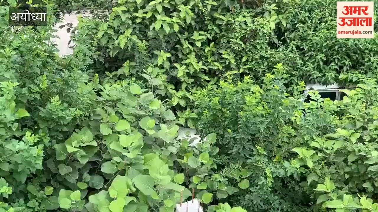 अयोध्या में गर्ल्स हॉस्टल में एमबीबीएस छात्रा को सांप ने डसा, मेडिकल कॉलेज परिसर की बदहाल व्यवस्था पर उठे सवाल
