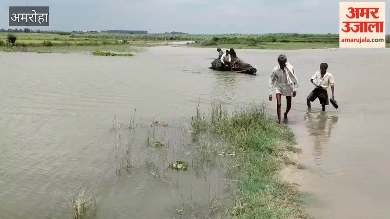 Due to the rising water level of Ganga, the fields got submerged
