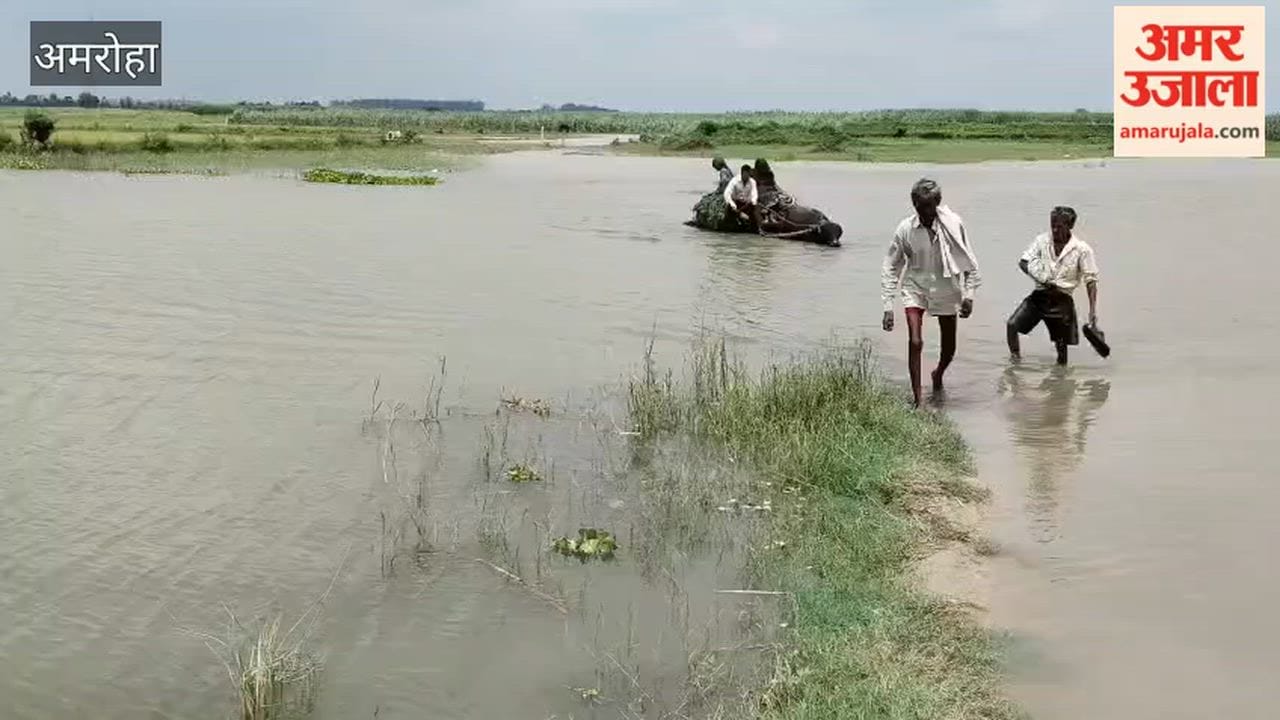 Due to the rising water level of Ganga, the fields got submerged