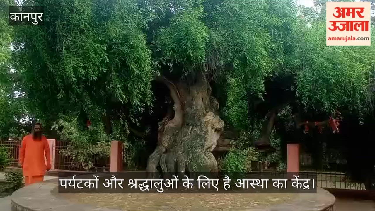Bithoor ancient heritage in Kanpur An extremely old Peelu tree still stands today