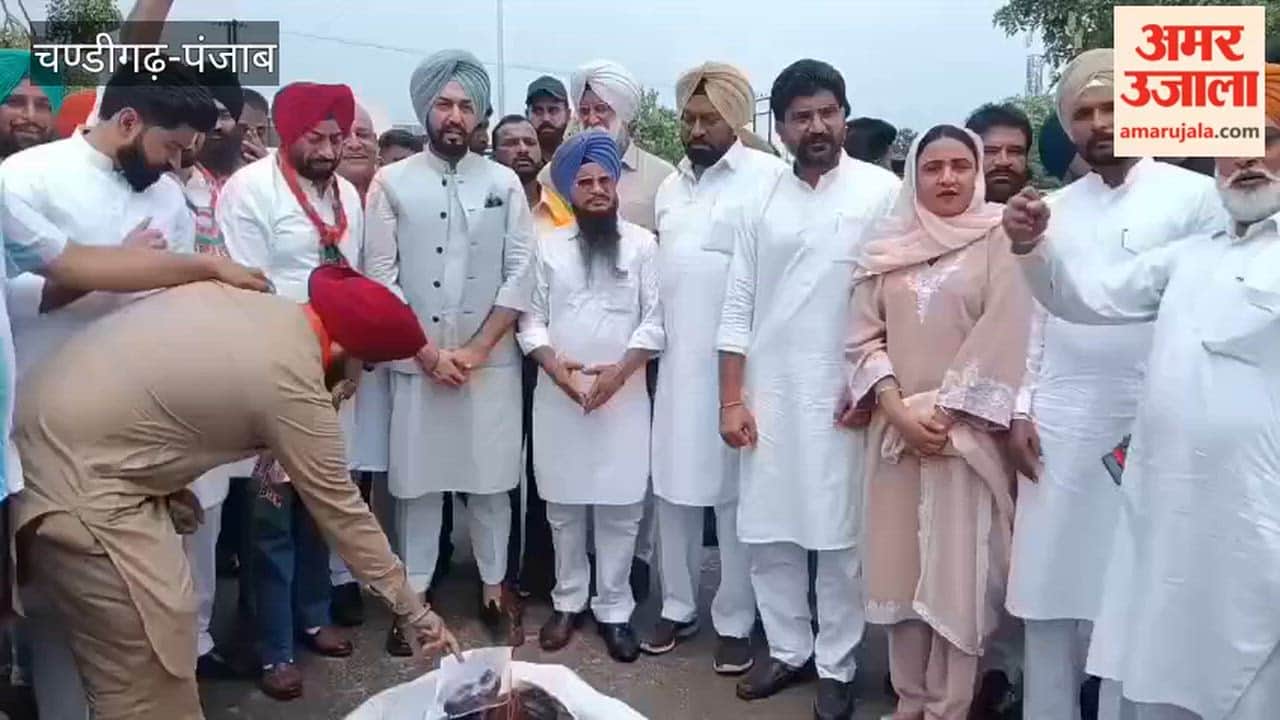 Effigy of Punjab government burnt over pharmacy paper leak.