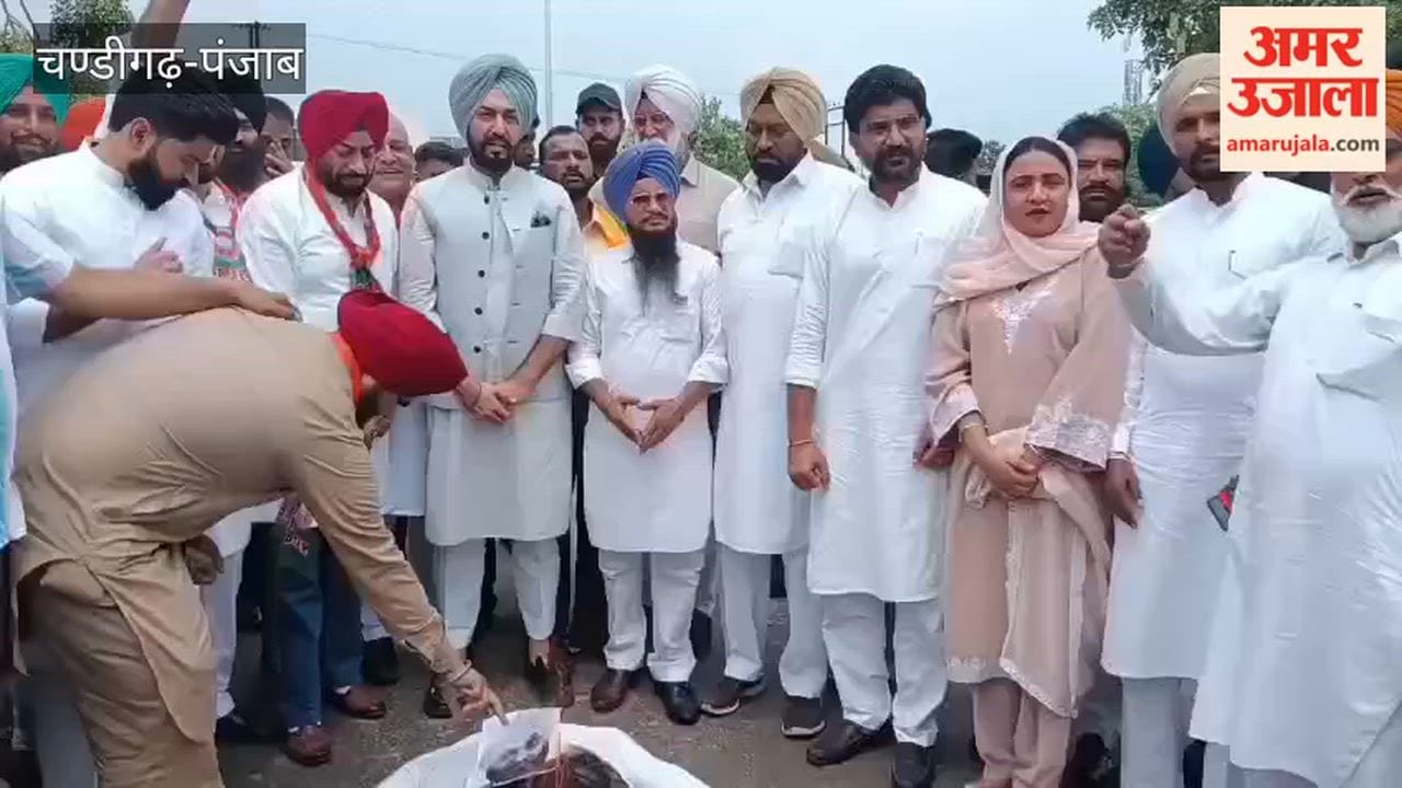 Effigy of Punjab government burnt over pharmacy paper leak.
