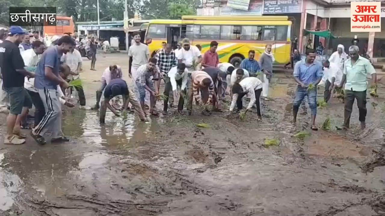Congress workers planted paddy in mud in unique protest against poor condition of bus stand