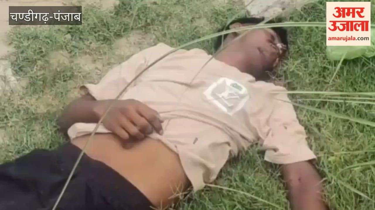 Sensation arises after body of youth found in vacant plot in Faridkot