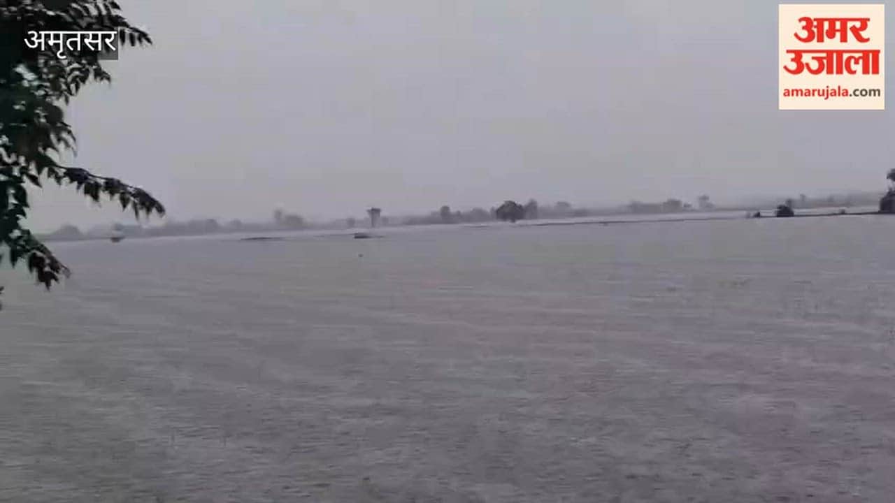 The first monsoon rains exposed the government's poor management, increasing the risk of flooding in Ajnala.  Rainwater destroyed crops in a dozen villages in Ajnala.
