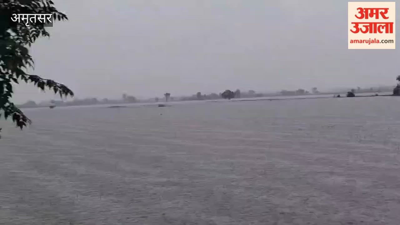 The first monsoon rains exposed the government's poor management, increasing the risk of flooding in Ajnala.  Rainwater destroyed crops in a dozen villages in Ajnala.