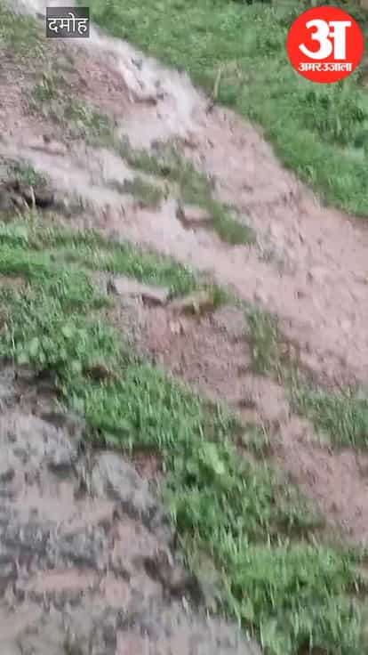 collector-orders-cremation-ground-tin-shed-after-viral-funeral-video-in-damoh