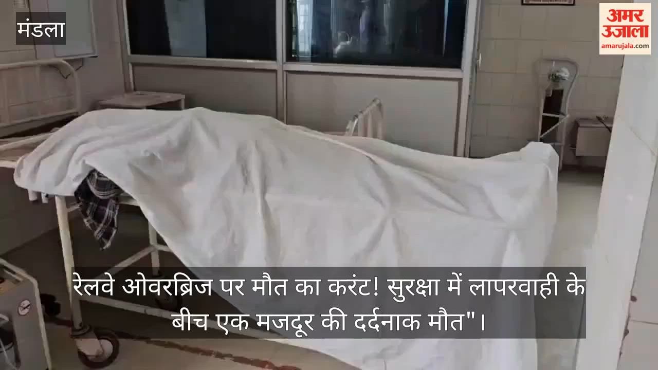 "Death by electric shock on a railway overbridge! A worker dies a painful death due to negligence in safety."