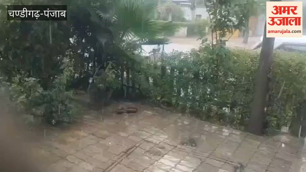 Light rain makes the weather pleasant in Ferozepur; relief from humidity.