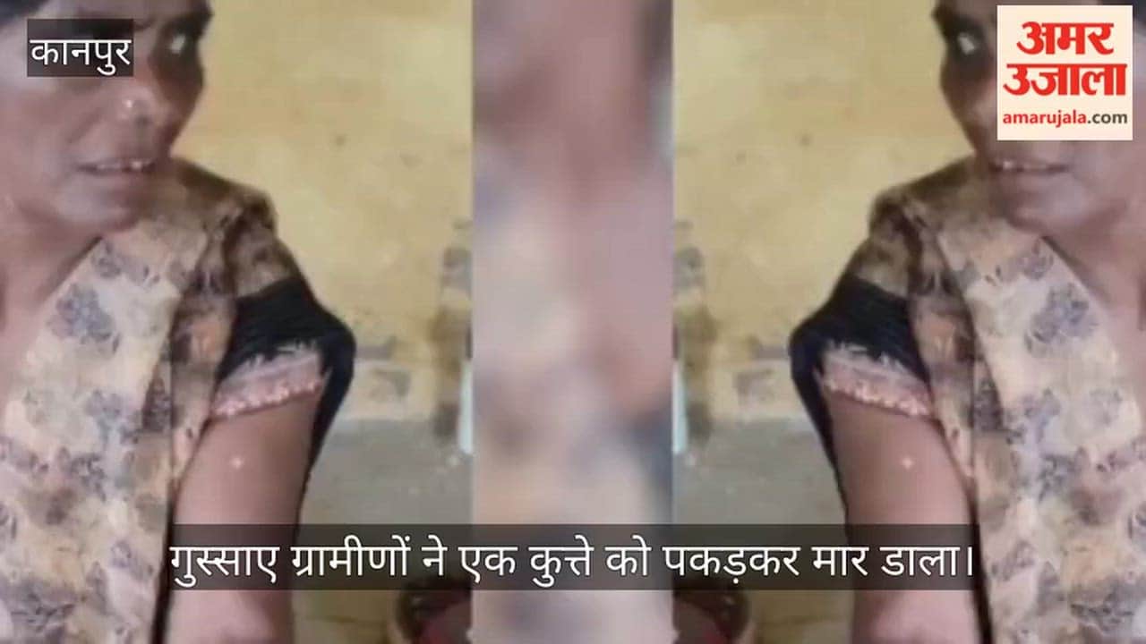 Dogs bit 30 people in three days in Kanpur Bhitargaon