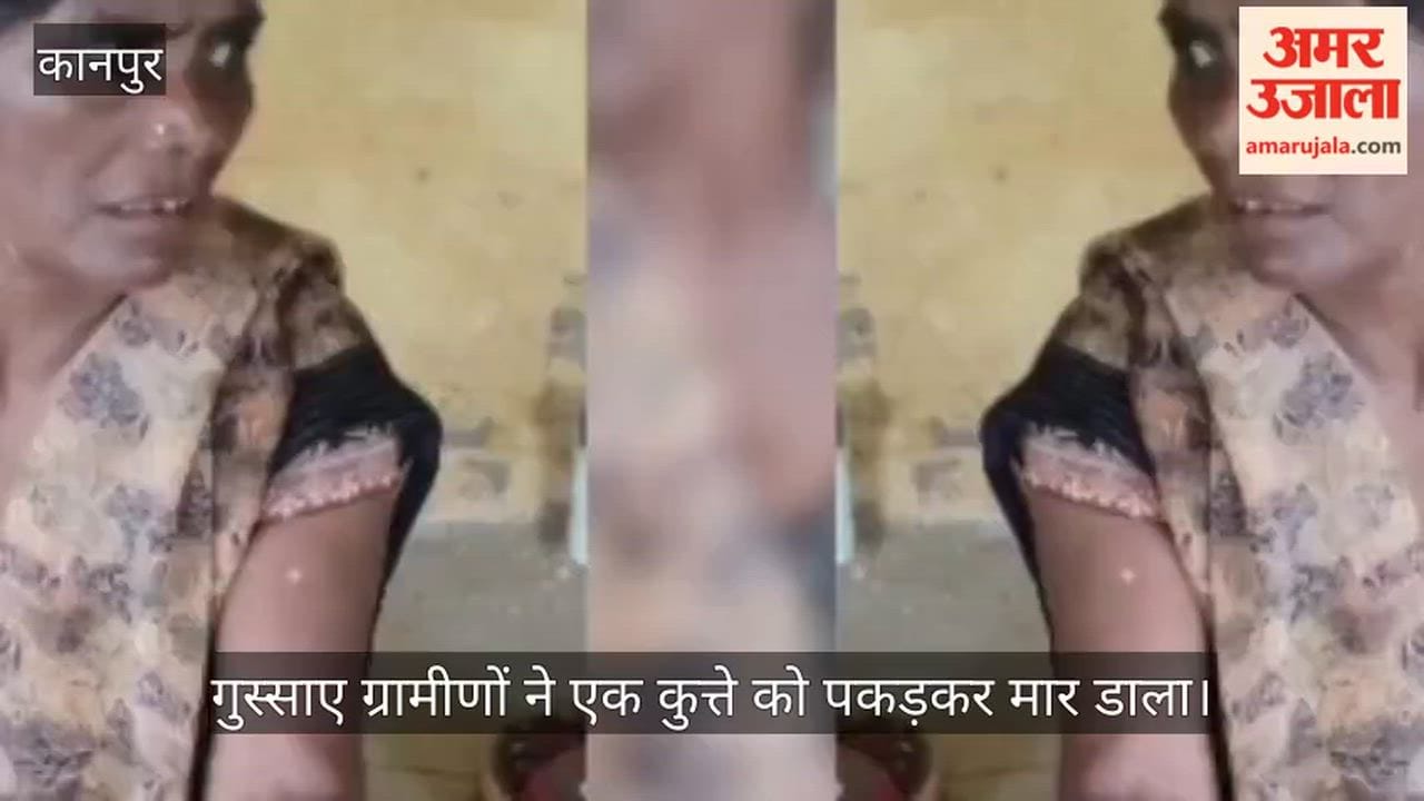 Dogs bit 30 people in three days in Kanpur Bhitargaon