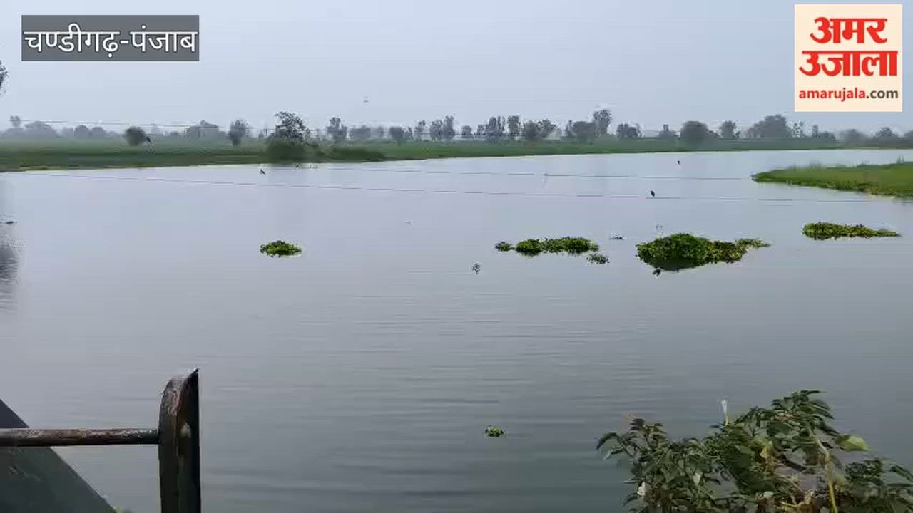 Sutlej River in spate in Ferozepur; villagers terrified.
