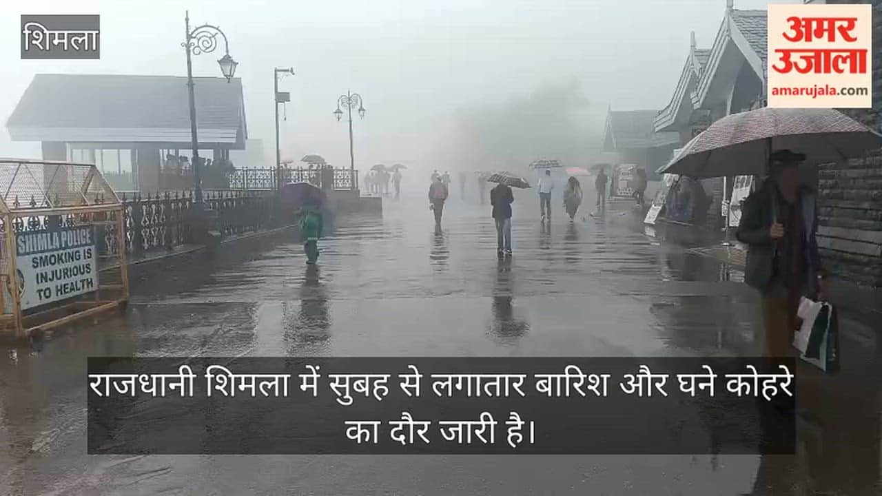 Shimla Weather Update: Dense Fog Engulfs City as Rain Continues, Tree Falls on Municipal Staff Quarters