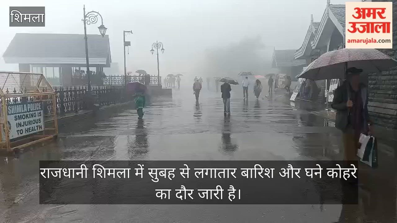 Shimla Weather Update: Dense Fog Engulfs City as Rain Continues, Tree Falls on Municipal Staff Quarters