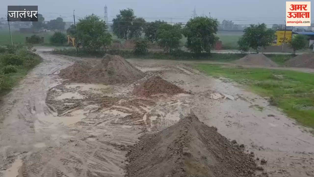 Weather changes in Jalandhar due to heavy rain; snake spotted in Jannat Avenue.