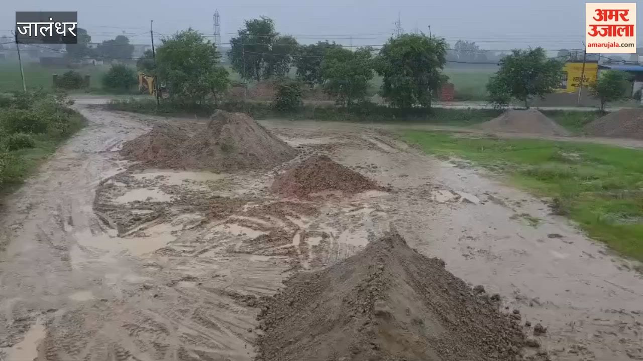 Weather changes in Jalandhar due to heavy rain; snake spotted in Jannat Avenue.
