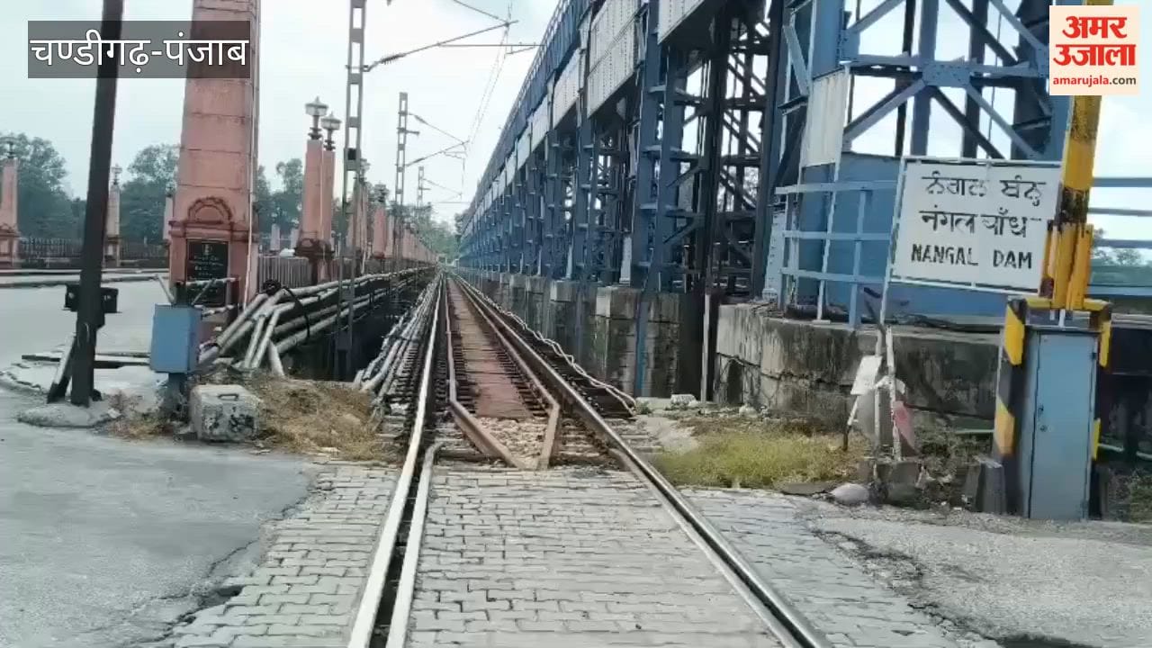 BBMB management concerned over the increasing number of trains on the rail track laid on the 70-year-old Nangal Dam bridge.