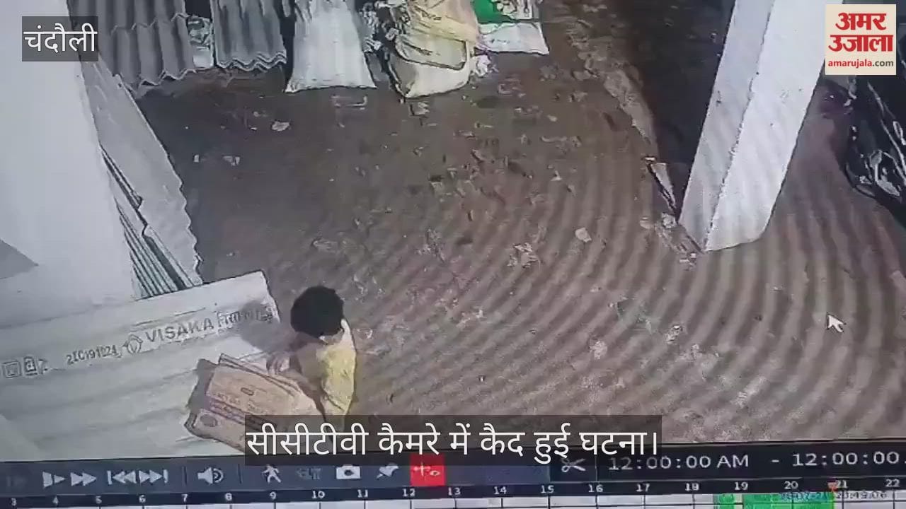 Snake bites innocent child playing outside home three-year-old boy dies
