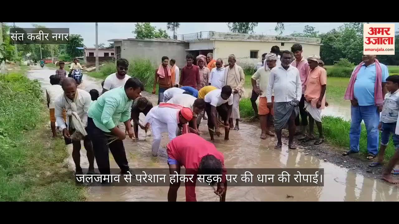 Frustrated by waterlogging, paddy planted on the road