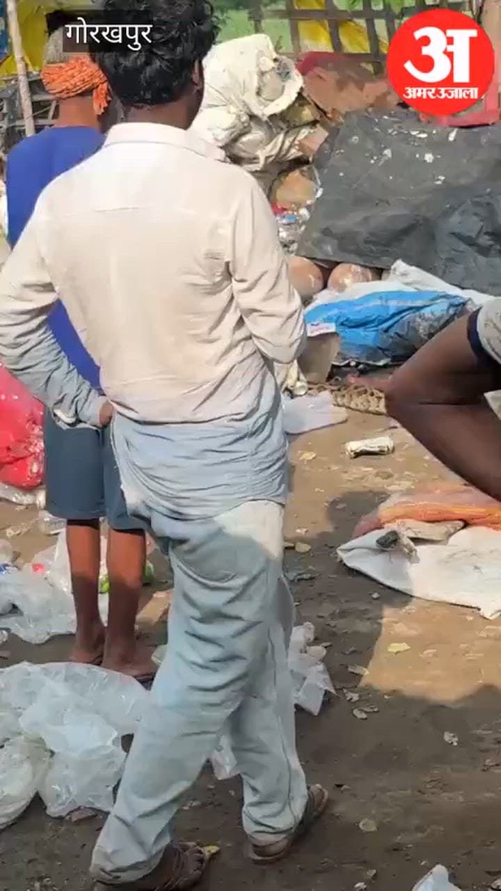 कबाड़ में निकला 15 फीट लंबा अजगर, मचा हड़कंप