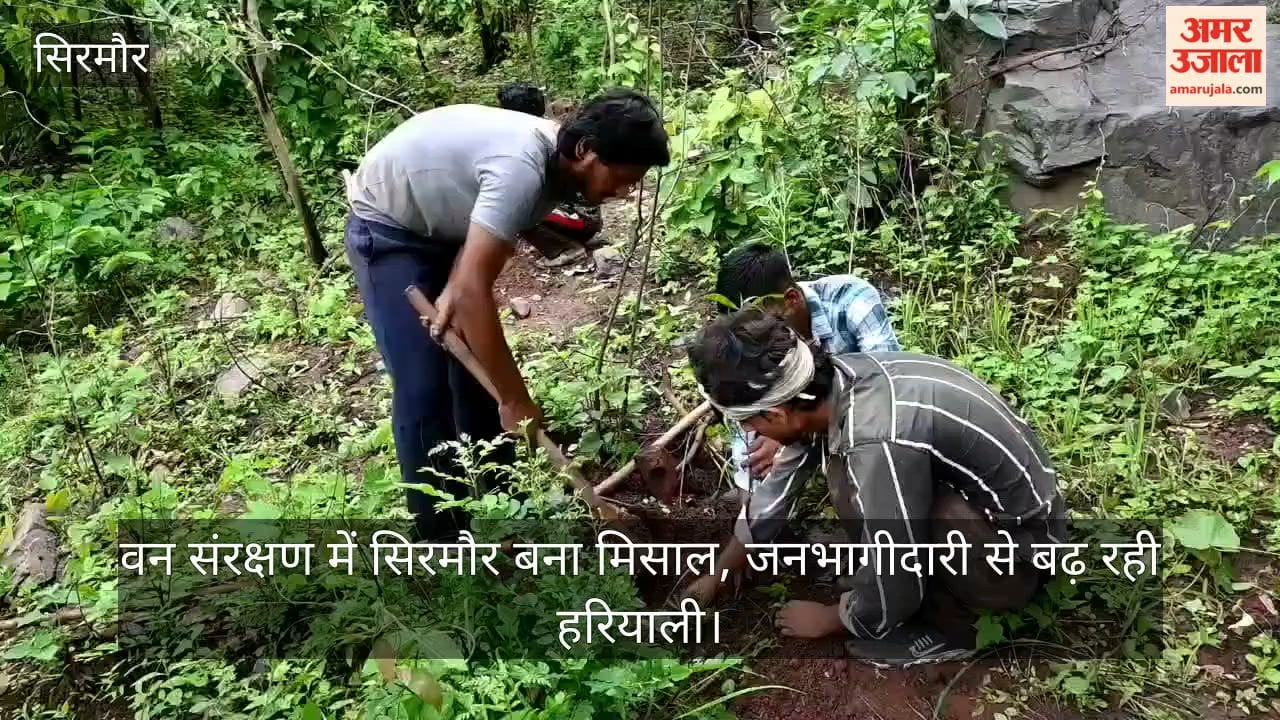 Sirmaur sets an example in forest conservation; greenery is increasing through public participation.