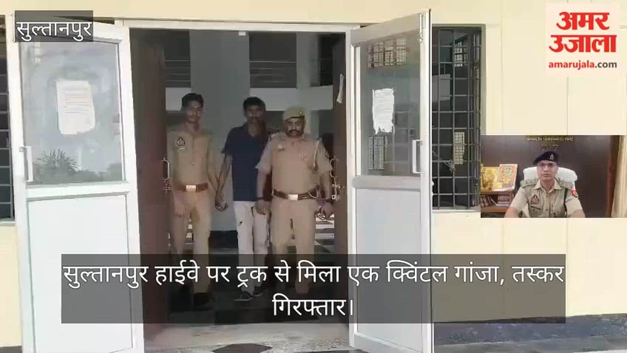 सुल्तानपुर: एसटीएफ व बंधुआकला पुलिस की संयुक्त कार्रवाई,104 किग्रा. गांजा बरामद