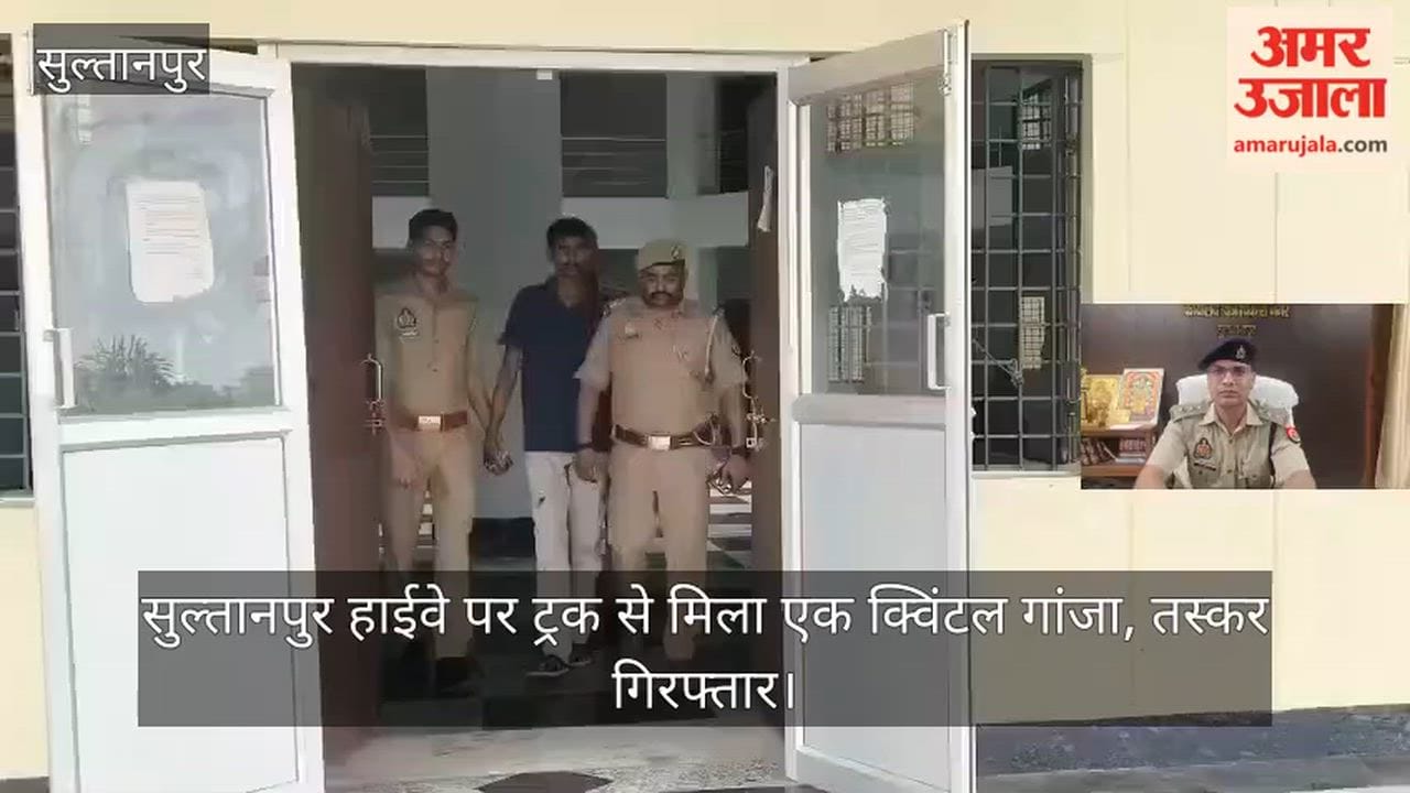 सुल्तानपुर: एसटीएफ व बंधुआकला पुलिस की संयुक्त कार्रवाई,104 किग्रा. गांजा बरामद
