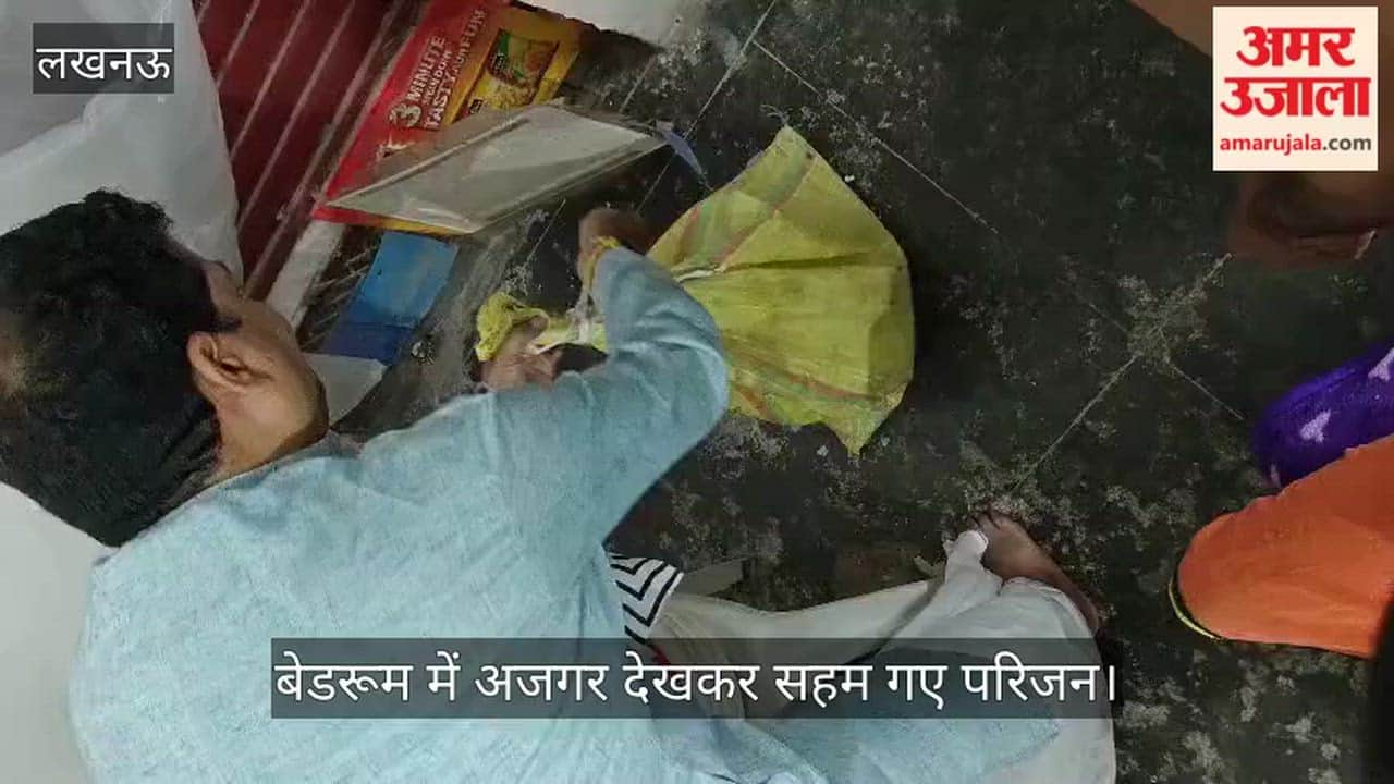 VIDEO: आधी रात बेडरूम में अजगर देखकर सहम गए परिजन, खुद की किया रेस्क्यू, नहीं मिली कोई मदद