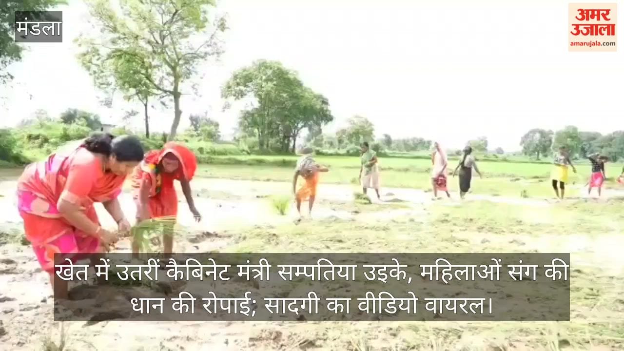 Cabinet Minister Sampatiya Uikey went to the field and planted paddy with women