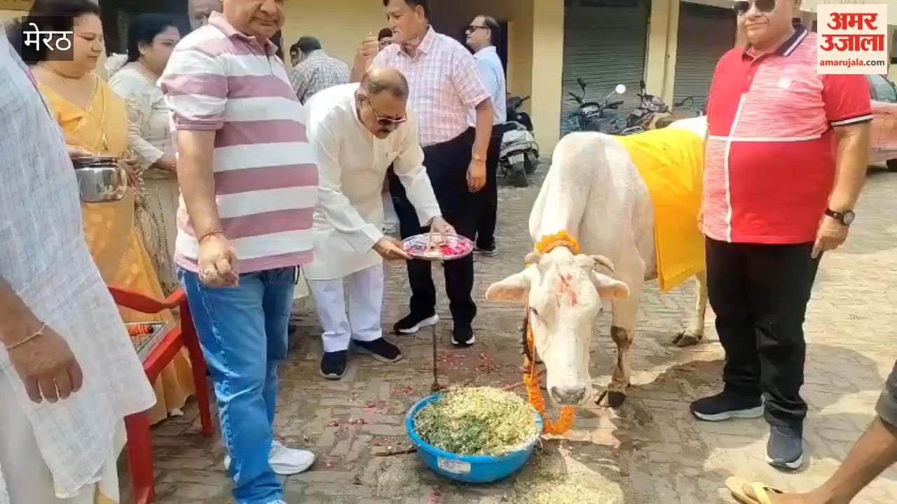 Meerut: Rotary Club Meerut Virat Organises Tree Plantation and Cow Service Drive