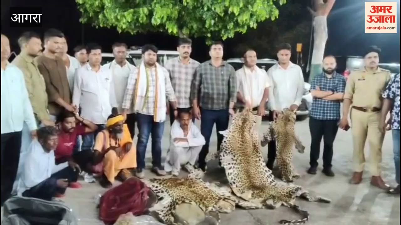 Forest Department Posed as Buyer for Four Days to Nab Wildlife Traffickers