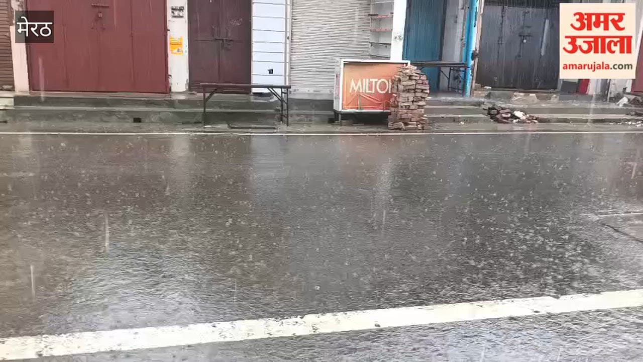 Rain Brings Relief from Humidity in Meerut’s Shastri Nagar
