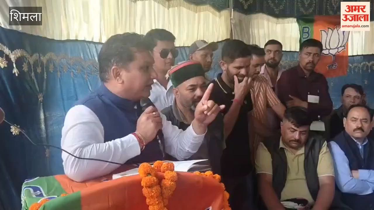 rohru bjp kisan morcha protest apple growers payment demand