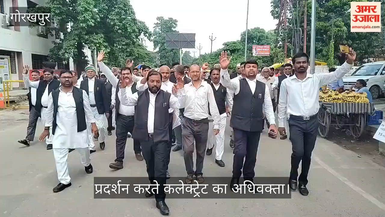 An advocate protesting at the Collectorate.