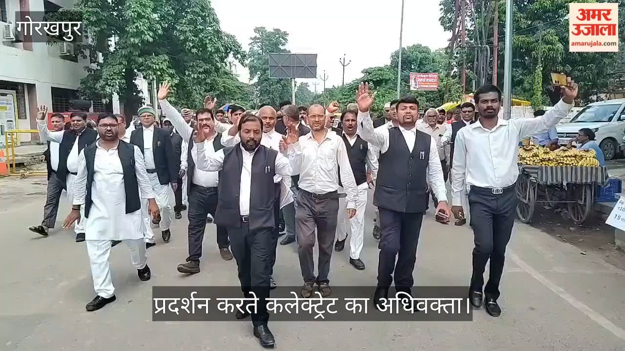 An advocate protesting at the Collectorate.